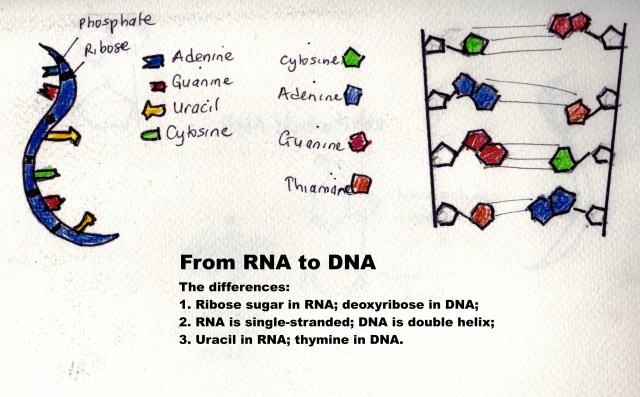 FullSizeRender-92 copy.jpg