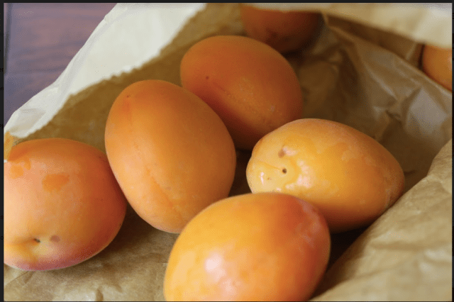 Screen Shot 2017-07-30 at 9.43.34 PM