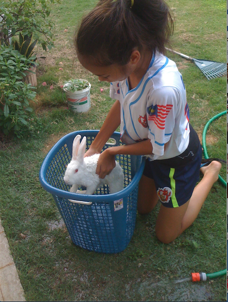 Screen Shot 2018-06-03 at 16.34.15