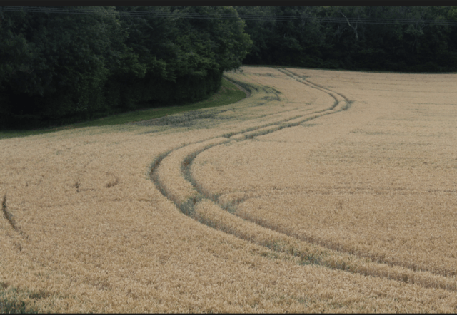 Screen Shot 2018-07-18 at 19.04.29