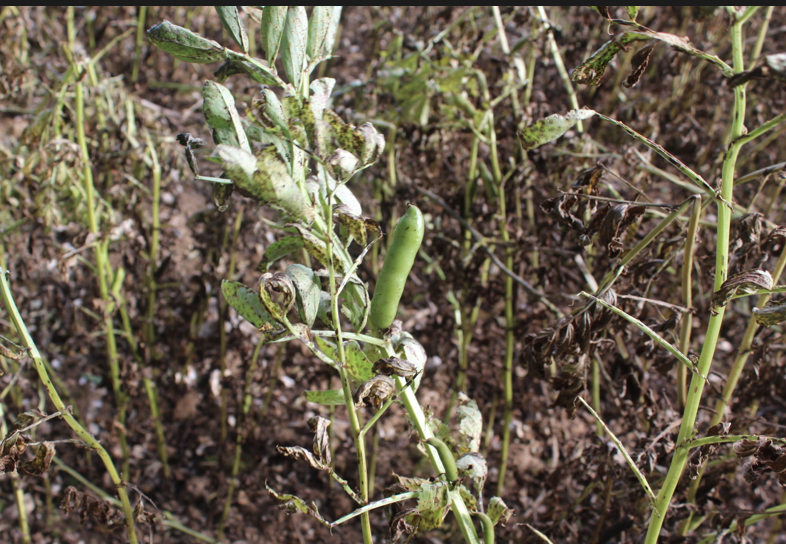 Screen Shot 2018-07-18 at 19.10.09.png