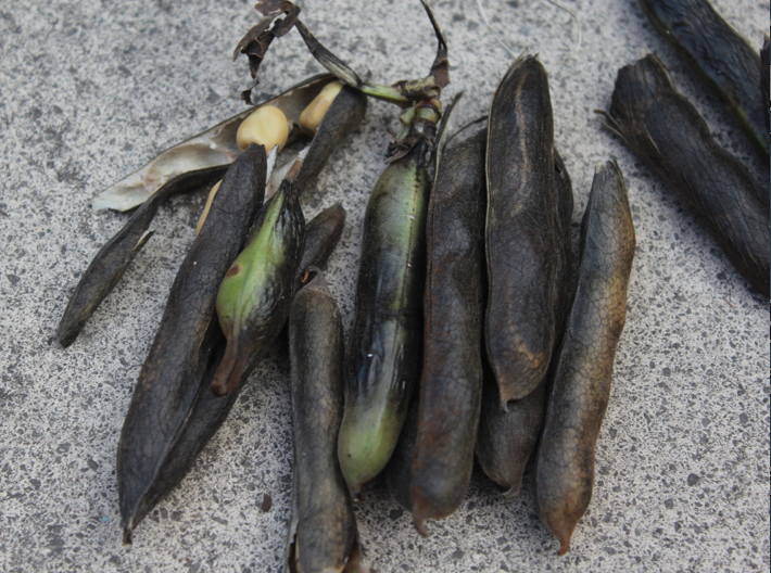 Screen Shot 2018-07-18 at 19.22.14