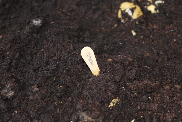 Screen Shot 2018-07-23 at 22.55.37.png