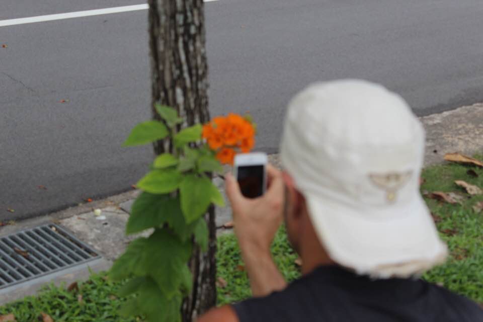 68678744_705919786521696_8839972108910985216_n