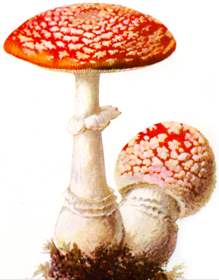 Screenshot 2019-08-20 at 20.27.01