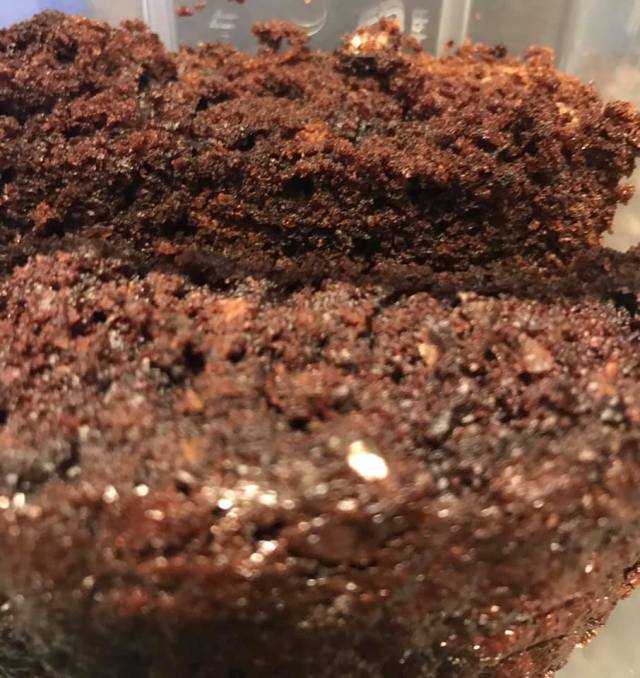 117709792_973975803049425_3655522337723840245_n